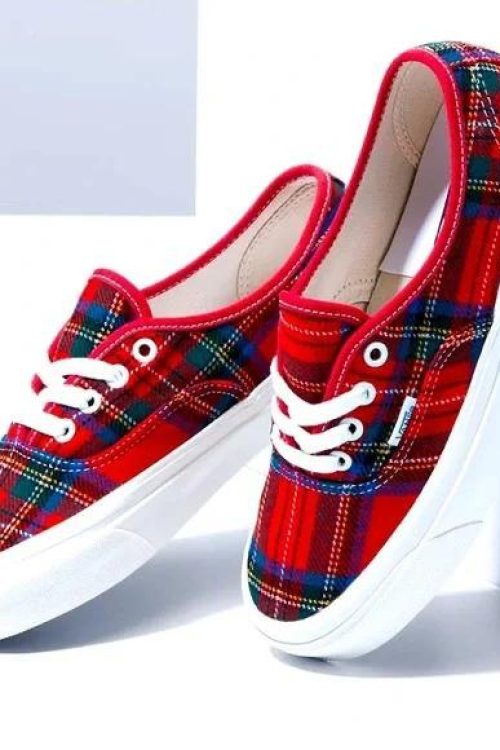 VANS old skool shoe